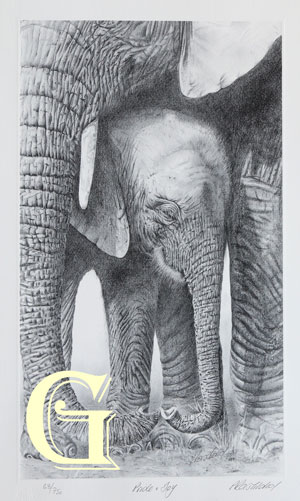 PETER HILDICK, LIMITED EDITION PRINT, PRIDE AND JOY, PRINT,ELEPHANT AND CALF